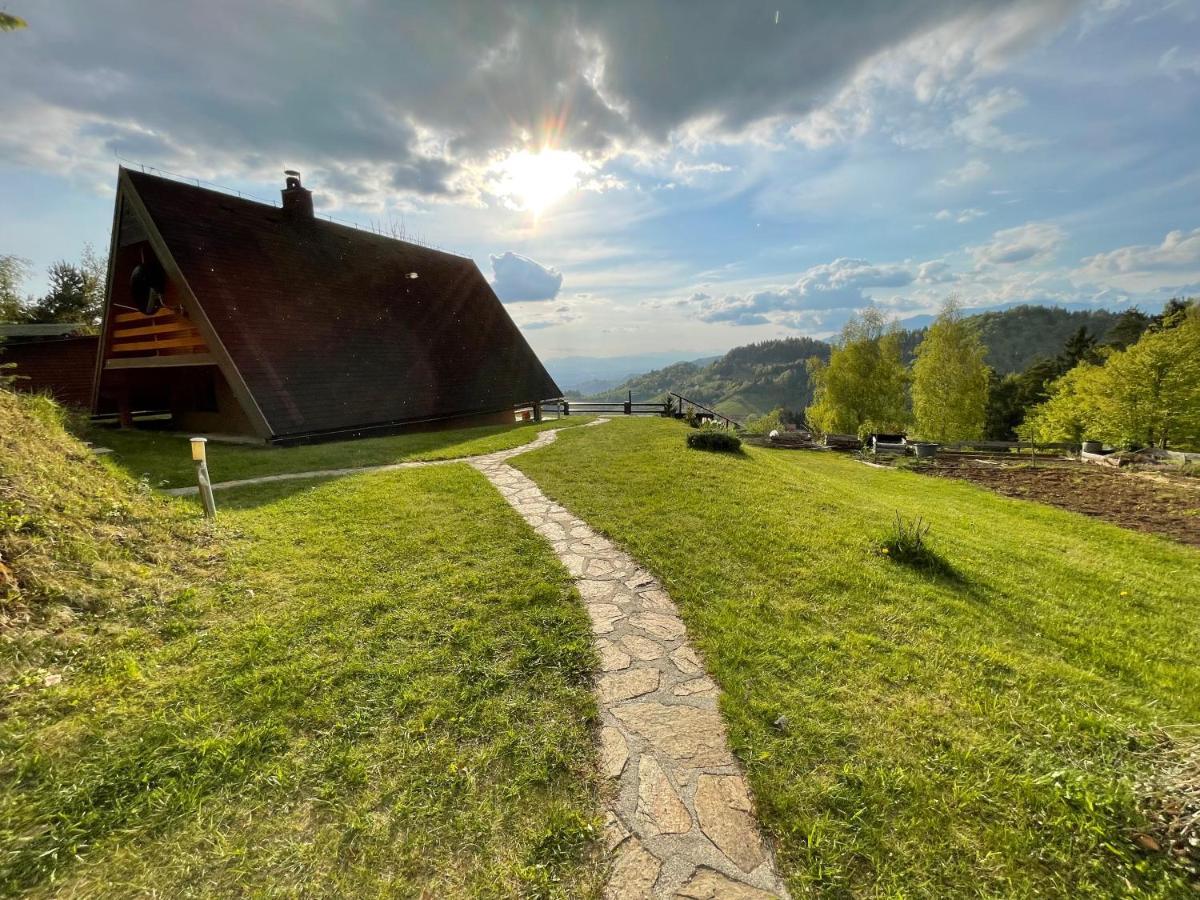 Mountain View Cottage Kamnik Buitenkant foto