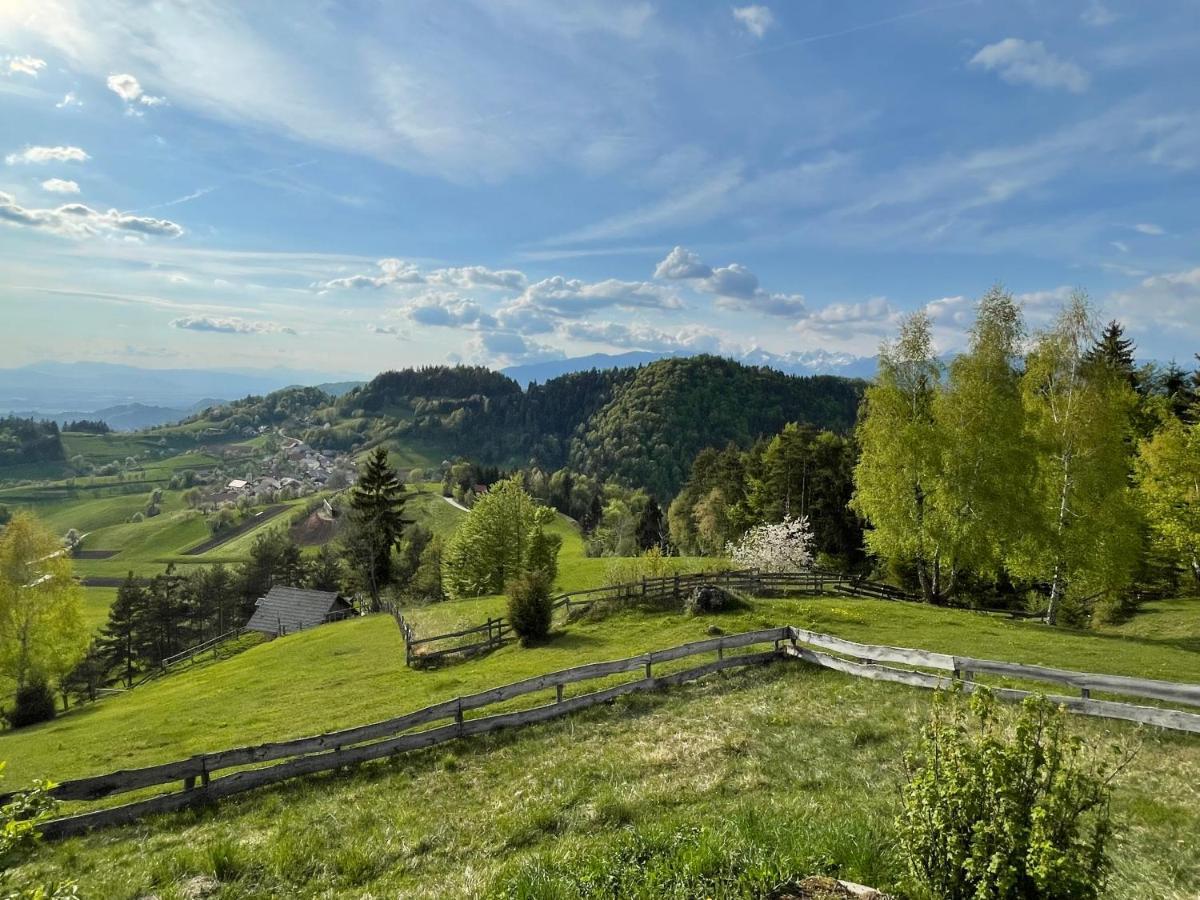 Mountain View Cottage Kamnik Buitenkant foto