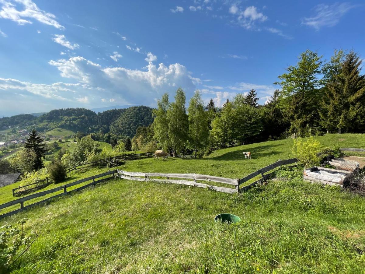 Mountain View Cottage Kamnik Buitenkant foto